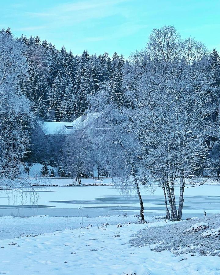 Lakeside Apartments Seefeld Зефельд-ін-Тіроль Екстер'єр фото